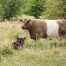 in freudiger erwartung in der natur