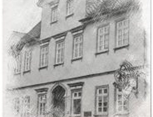 Galloway Burger im Künstlerhof Arnold