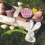 festschmaus otergeschenk gallowayfleisch